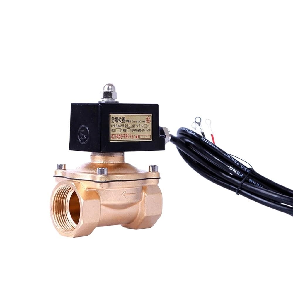 2 Way 1inch Lpg Gas Solenoid 12v Brass Explosion Proof N/C(NPT-110VAC)