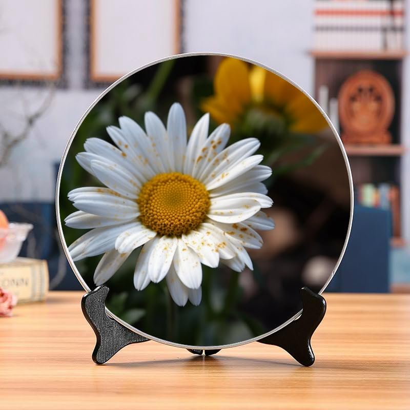 Fall Decorative Plates For Display 10