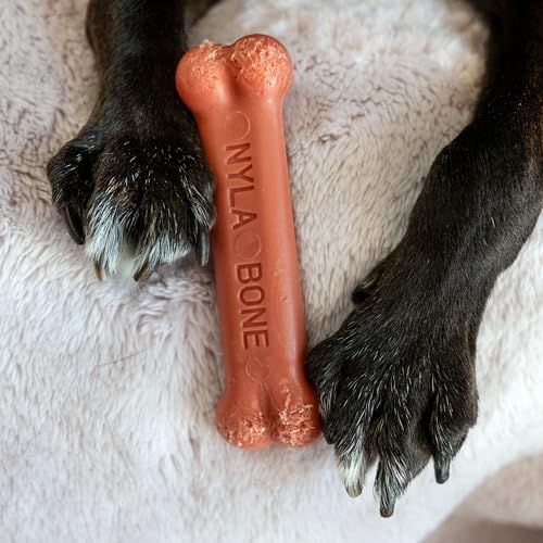 Image of Nylabone Power Chew Original Bone Dog Chew Toy, Bacon Flavor, Small