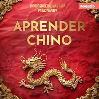 Aprender chino Audiolibro Por N.N. arte de portada