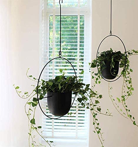 NCGL Suspension pour Plantes en Acrylique