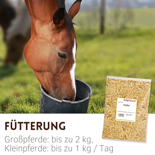 Supravit Hafer ganz 5kg | Frischer gelber Futterhafer natürlich & ungeschält für Pferd und Pony | staubfrei & riecht gut I Hafer Energie & Kraftfutter Pferd