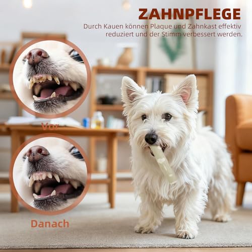 KLINNA 2 Stück Hunde Kaffeeholz Kauknochen | Holzknochen als Hundespielzeug für Natürliche Zahnpflege & Beschäftigung | Robustes Kauholz für Welpen und Kleine Hunde, Kaffeeholz für Kauholz