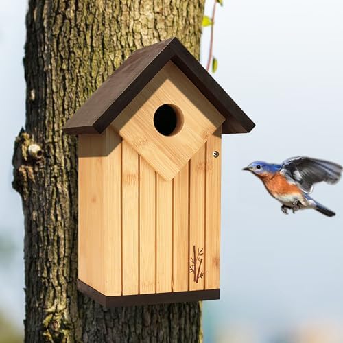 Amazon.com : XL Size Bluebird Bird Houses for Outside Clearance, Heavy