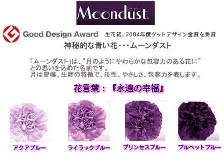 Amazon 敬老の日限定 花言葉は 永遠の幸福 カーネーション ムーンダストのボックスアレンジメント サークル フラワーアレンジメント 通販