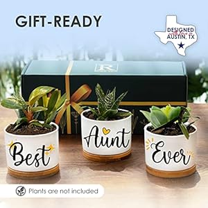 Aunt Planter, Unique Best Aunt Ever Gifts from Niece and Nephew, Thoughtful Auntie Gifts, Perfect Planter Gift Set, Ideal Presents for Mother's Day, Birthdays, Christmas, Special Occasions, Gift-Ready Aunt Planter Unique Best Aunt Ever Gifts from Niece and Nephew Thoughtful Auntie Gifts Perfect Planter Gift Set Ideal Presents for Mothers Day Birthdays Christmas Special Occasions Gift Ready
