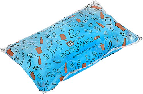 EasyAkku 3.0 - 6 x 440 g per visitatori di