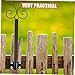 WEKADRIN 1set Outdoor Hanging Light Support Pole for Bird Feeders and String Lights Sturdy Rod for Patios Yards and Gardens Easy Installation No Tools Required