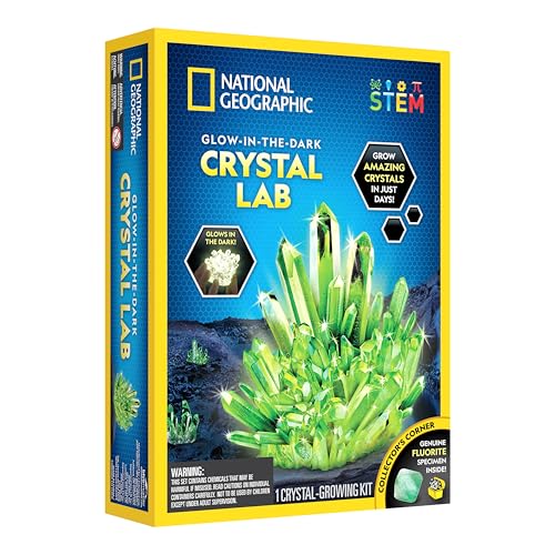 Cadeau STEM enfant 8 ans avec kit de culture de cristal et vraie géode