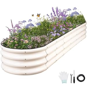 Galvanized Raised Garden Bed – 8x2x1FT Metal Planter Boxes Outdoor | Oval Steel Raised Bed Kit for Gardening with Protective Tape, Bracing Rods, Gloves for Vegetables, Flower, Herb (White)