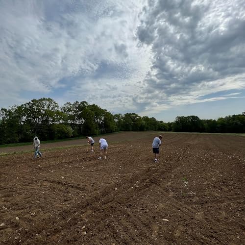 Farm Updates - Farm Day Coming and Planting Pumpkins