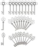 Salome Idea Mixed Set of 30 Large Skeleton Keys in Antique Silver - Set of 30 Keys (Silver Color)