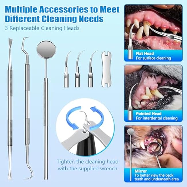 Dog Tartar Remover for Teeth, Plaque Remover with LED Light Teeth Cleaning Kit 5 Modes for Dogs and Cats, Black-Bb8wUptz