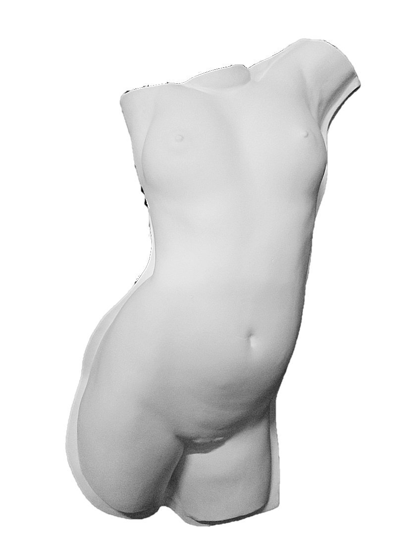 Amazon.co.jp: 石膏像 T－506 トルソー女子半面 H．91cm