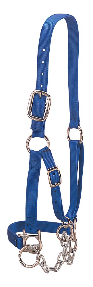 Weaver Leather Heavy-Duty Restraint Halter
