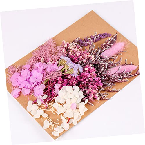 Kit de Flores Secas DIY para Manualidades y Decoración miniatura 7