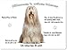 Produktbild Merchandise for Fans Blechschild/Warnschild/Türschild - Aluminium - 15x20cm - - Willkommen in Meinem Zuhause - Motiv: Bearded Collie Porträt- 05