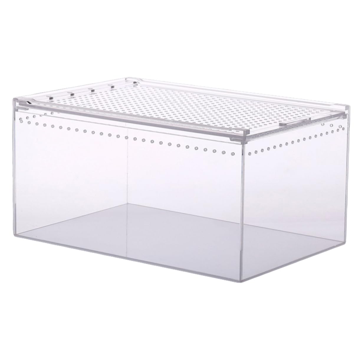 Boîte alimentation pour terrarium idéale pour observer l'élevage des insectes