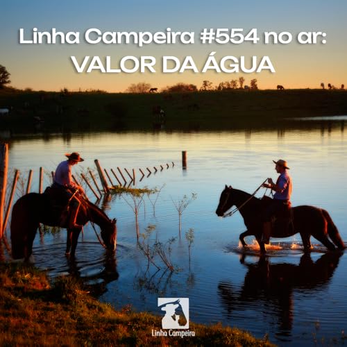 Epis&oacute;dio #554 - O valor da &aacute;gua