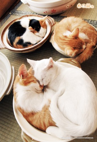 仲良し猫鍋♡ Amazon.co.jp: 300ピース ねこ鍋 ねこ鍋な毎日 300-194 : ホーム