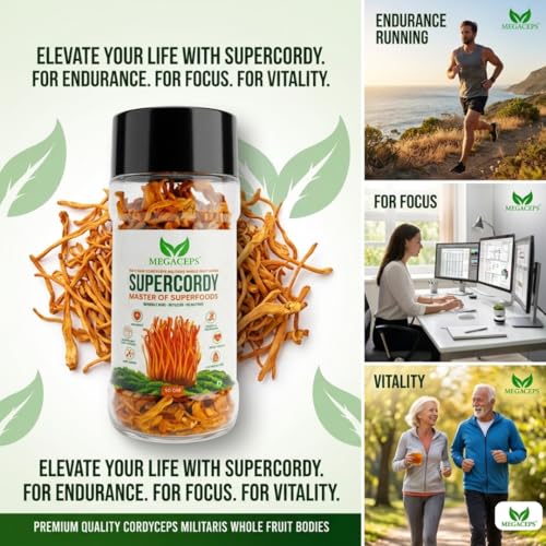 Image of MEGACEPS SUPERCORDY - 100% Raw Cordyceps Militaris Fruiting Bodies | Natural Energy & Stamina Booster | Immunity, Endurance & Vitality Support | No Fillers, Pure Mushroom Superfood - 50g