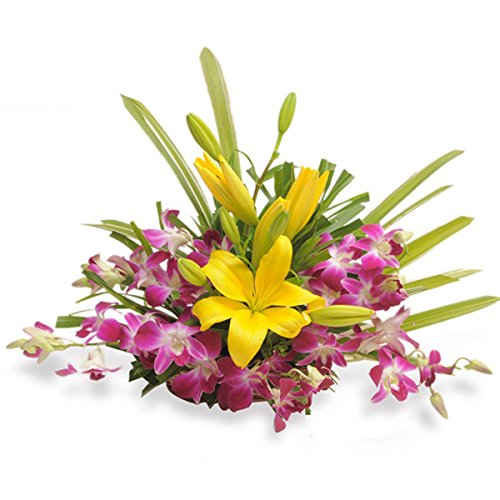 FloraZone Optimistic Fresh Flowers Basket Arrangement Of 6 Purple