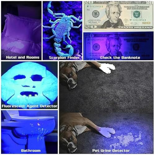 Image of GlowBase Aluminum Alloy Metal Rechargeable Telescoping Zoom LED Ultraviolet Torch with 395 NM, Black Light UV for Dog Urine Detection, Fluorescent Detection, and Resin Curing