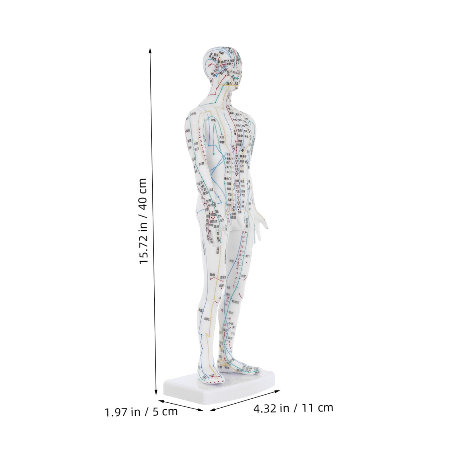 Manichino Meridiani Corpo Umano Bianco in Plastica per Agopunti | Aule Cliniche, Istruzioni Localizzazione, Supporto Gestione Salute, Professionisti, Operatori del Massaggio