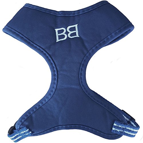 BobbyHttenn_BlEU_L Harness Wide Tennis L Blue