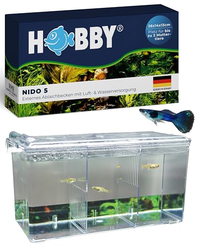 HOBBY Aquaristik Nido 5 I 26 x 14 x 13 cm I externes Ablaichbecken mit Luftversorgung I zum Separieren von trächtigen Fischen und zur Aufzucht von Jungfischen I Fisch Ablaichkasten für Aquarien