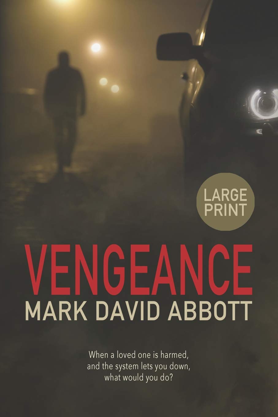 Vengeance: John Hayes #1 (A John Hayes Thriller)