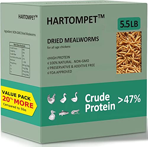 HARTOMPET Better Than Dried Mealworms for Chickens 10 lbs - 85X Calcium Than MealWorms - Non-GMO Chicken Feed Additive & Molting Supplement - black soldier fly larvae Treats for Hens, Ducks, Wild Bird