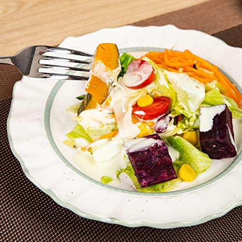 Reomore Ceramic Dinner Plates Set Of 6 With Flower Rim, Porcelain Charger Plates 8.25 Inch Scratch And Chip Resistant, Microwave, Oven, Dishwasher Safe, Assorted Color #TOP2