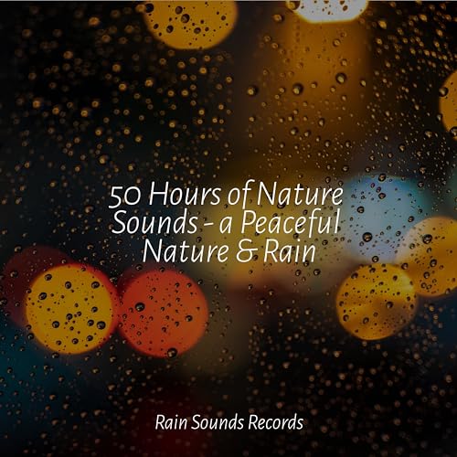50 Hours of Nature Sounds - a Peaceful Nature & Rain von Sea Waves ...