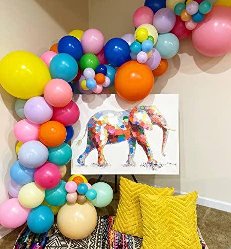 KBZVNAF Rainbow Balloons Latex Party Balloons - 50 Pack 12 inch Helium Assorted Bright Balloons for Wedding Baby Shower Birthday Party Decorations - Image 5