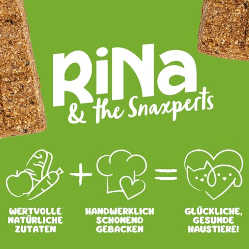 Viva Vegan Hundesnacks Riegelbox 10× – Vegane & glutenfreie Hundeleckerli mit Keimlingen, Banane, Ananas, Spirulina & Kokosöl – 300g Pflanzliche Superfood-Riegel für Hunde – von RiNa