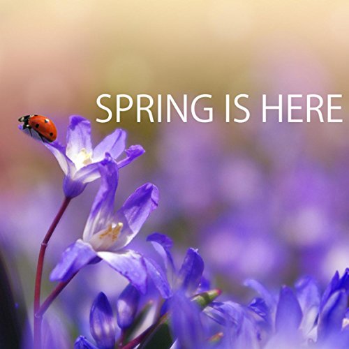 Spring Noises Play Spring is Here - Soft and Relaxing Sounds of Nature Music Playlist ...