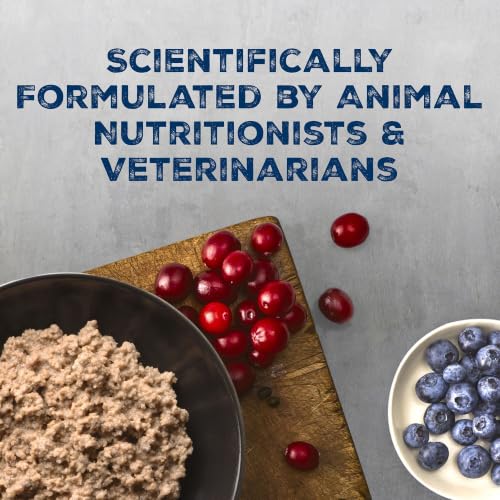 Image of Blue Buffalo Wilderness High Protein, Grain Free Wet Kitten Food, Chicken Pate, 3oz Cans, 4-Count Multipack
