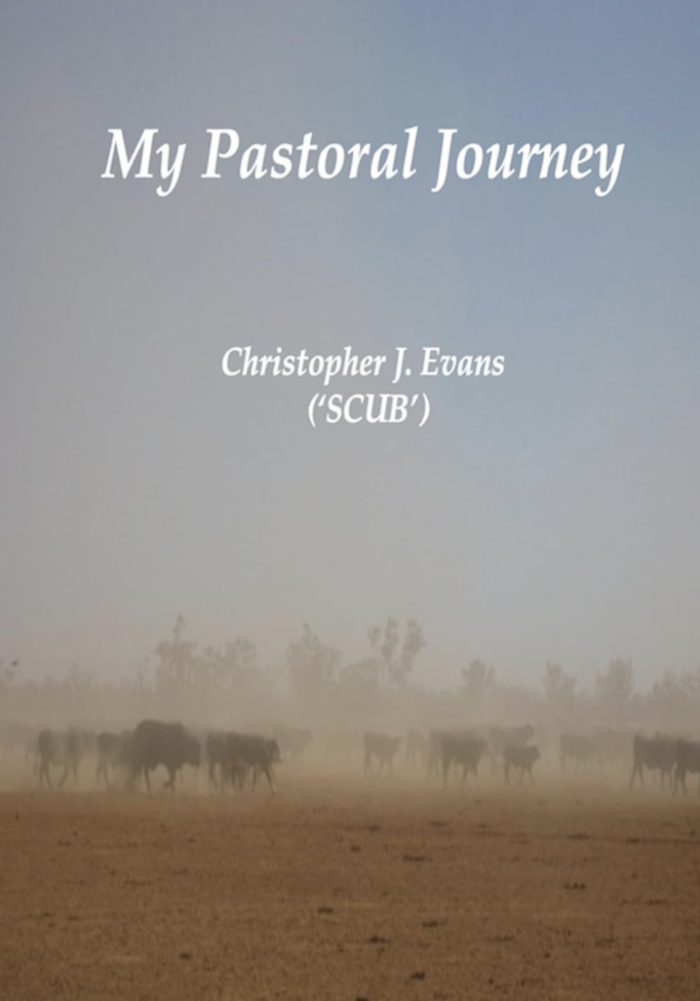 My Pastoral Journey