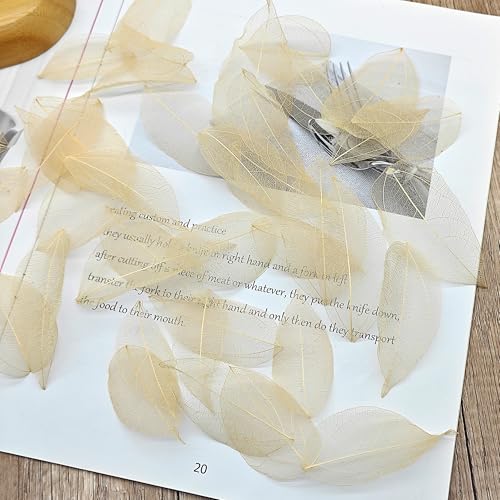 HAOBIN Pack of 50 Natural Skeleton Leaves Dried Leaves Skeleton Leaves Natural Dried Leaves Mixed for DIY Scrapbook Craft Card Making (Brown A) - Image 3