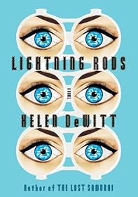 Lightning Rods by Helen DeWitt