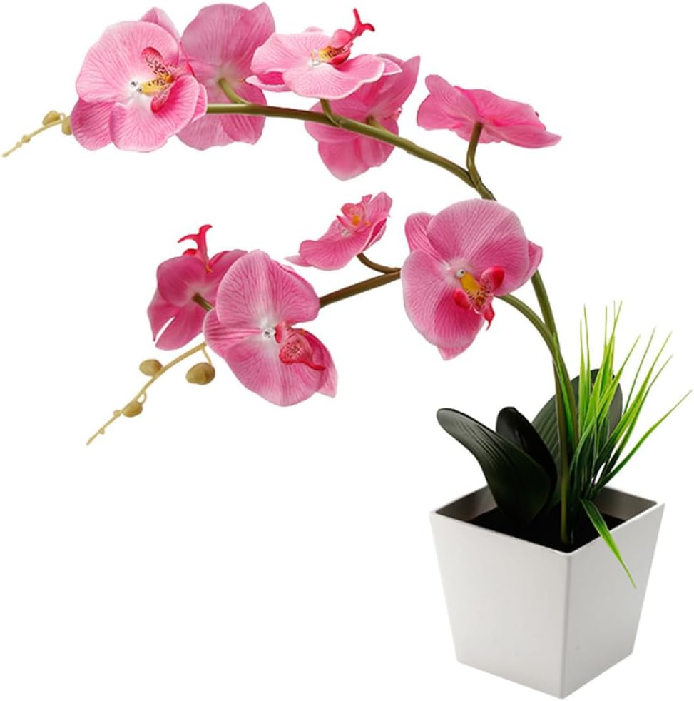 Battery Operated LED Light with 9 Artificial Blush Orchid Flowers, Portable Plastic and Iron Wire Flower Lamp for Living Rooms and Holiday Celebrations