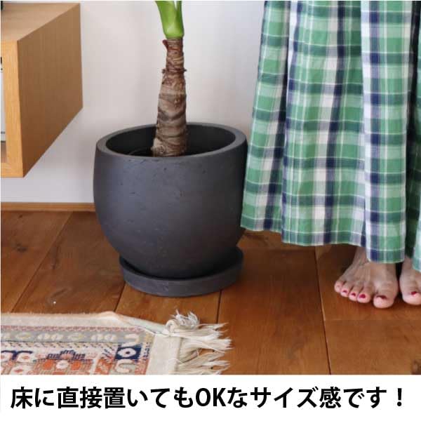 Amazon｜陶器鉢（8号サイズ）セット クッカバラ 根上がりタイプ 観葉