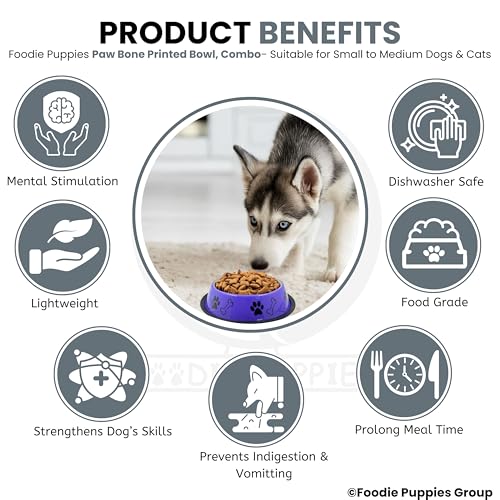 Image of Foodie Puppies Stainless Steel Dog Bowl Combo - (Medium, 700ml) Food and Water Feeding Gift Bowl | Suitable for Dogs, Cats and Other Pets I Paw Bone Print, Anti-Skid Rubber Base (Purple + White)