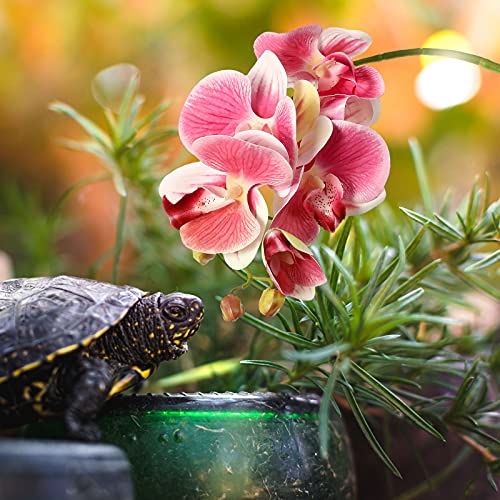 Chuangdi 2 Pieces Artificial Phalaenopsis with Suction Cups Terrarium Plant Decoration Reptile Habitat Plant Decor for… - Image 5