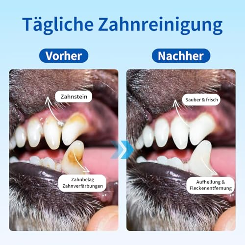 Pcpetclear - Mundwasser Für Hunde Und Katzen - Zahnsteinentferner - Trinkwasserzusatz - Schützt vor Plaque Und Zahnstein - Frischer Atem - Keine Bürste Erforderlich - 380ml Stück (1)