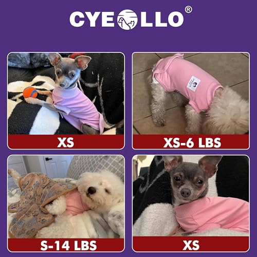 Image of cyeollo Dog Surgery Recovery Suit Soft Breathable Female Male Pet Bodysuit for Spay, Neuter, Surgical Recovery Shirt for Small Medium Large Dogs, Purple, S