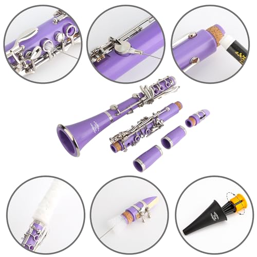 Image of Glory GLY-CLAPUR Professional Ebonite Bb Clarinet with 10 Reeds, Stand, Hard Case, Cleaning Cloth, Mouthpiece Brush and Pad Brush,Purple /Silver