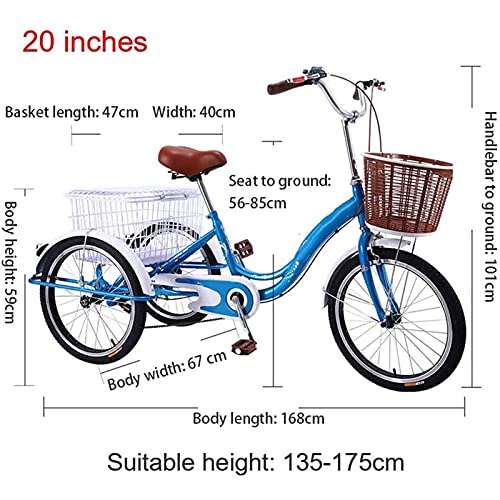ZJZ Volwassen Driewieler Met Winkelmand Drie Wielige Fiets 16 Inch Trike Fiets Voor Winkelen Picknick Buitensporten… - Afbeelding 3