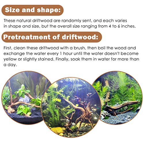 image for SERJOOC 6Pcs Aquarium Driftwood Spider Wood Ornament for Fish Tank Nat
